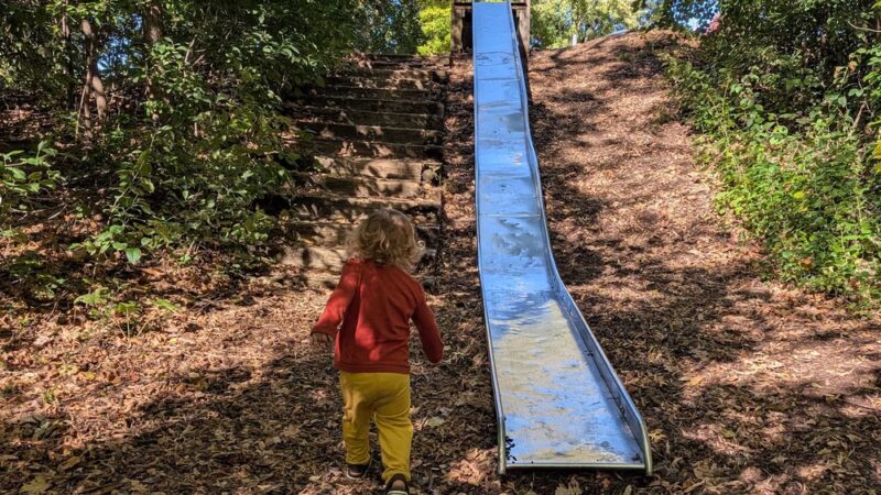Driftwood Park - New Brighton, MN