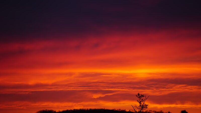Walnut Hill Park - New Britain, CT