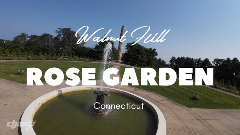 Walnut Hill Park - New Britain, CT