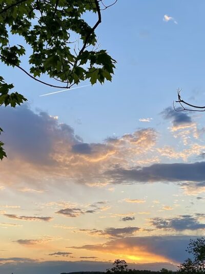 Walnut Hill Park - New Britain, CT