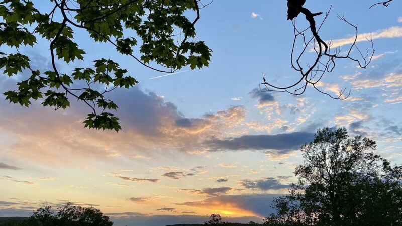 Walnut Hill Park - New Britain, CT