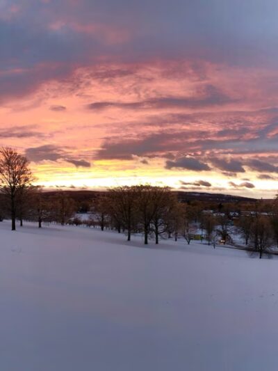 Walnut Hill Park - New Britain, CT