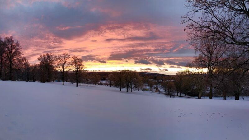 Walnut Hill Park - New Britain, CT
