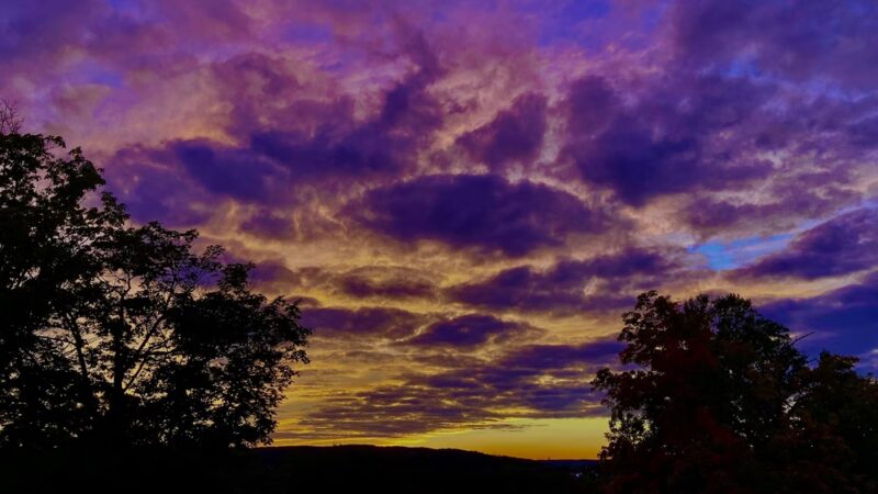 Walnut Hill Park - New Britain, CT