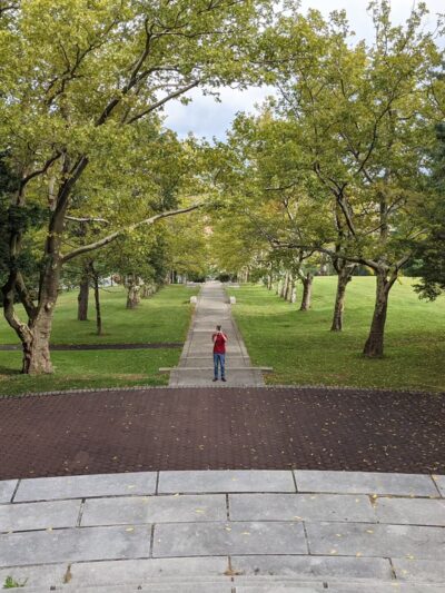 Walnut Hill Park Rose Garden - New Britain, CT