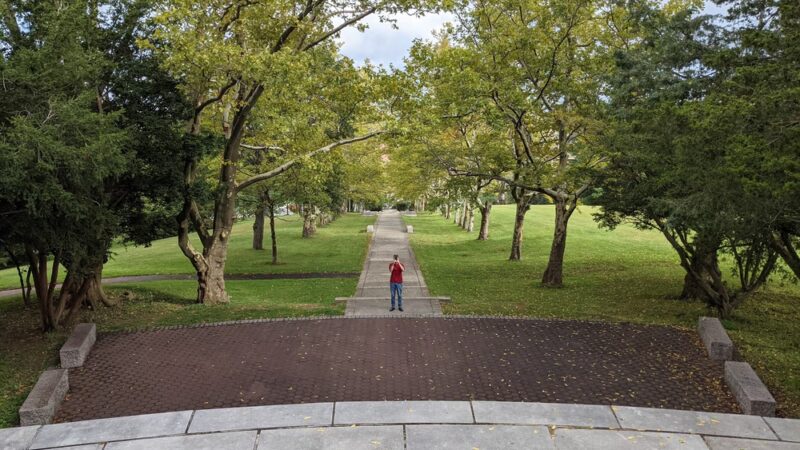 Walnut Hill Park Rose Garden - New Britain, CT