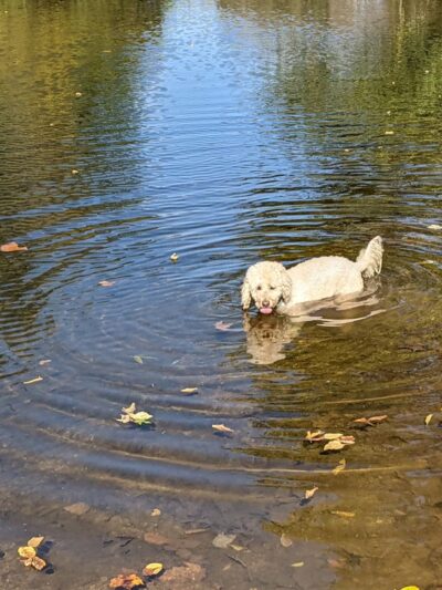 Bridge Point Park - New Britain, PA