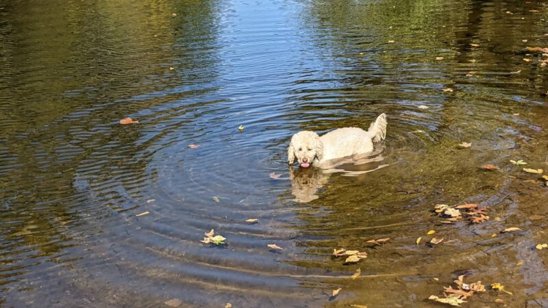 Bridge Point Park - New Britain, PA