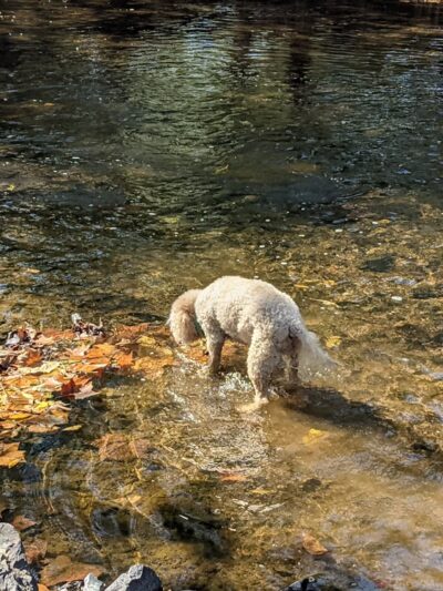 Bridge Point Park - New Britain, PA