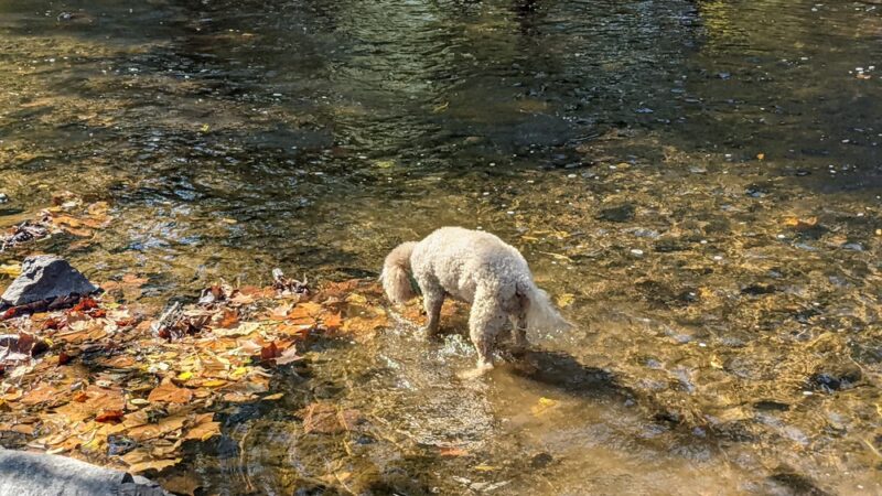 Bridge Point Park - New Britain, PA