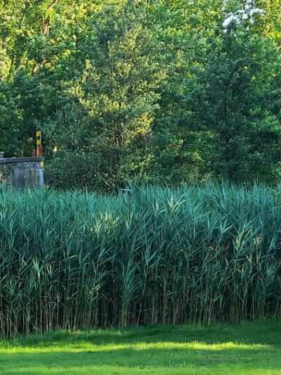 Bridge Point Park - New Britain, PA