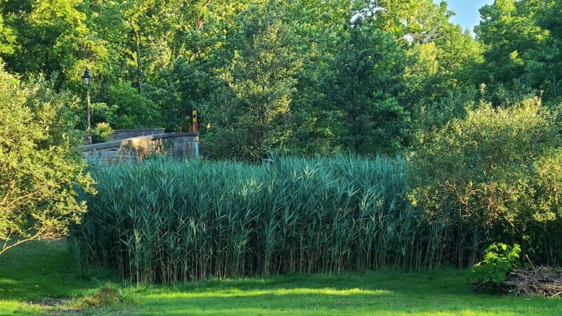 Bridge Point Park - New Britain, PA