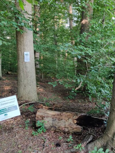 Heritage Conservancy Hart's Woods Nature Trail - New Britain, PA
