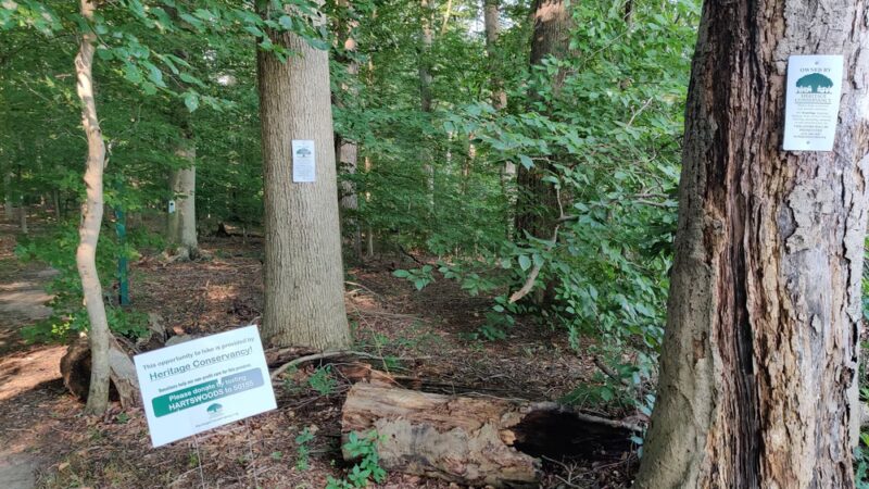 Heritage Conservancy Hart's Woods Nature Trail - New Britain, PA