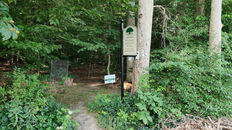 Heritage Conservancy Hart's Woods Nature Trail - New Britain, PA