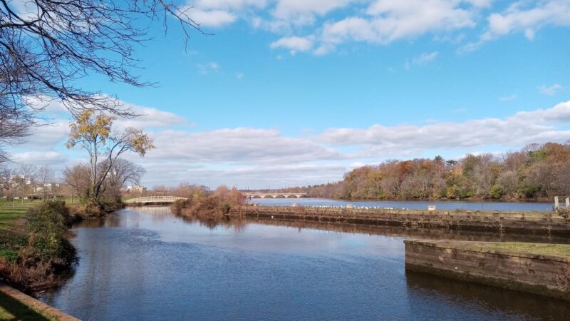 Boyd Park - New Brunswick, NJ
