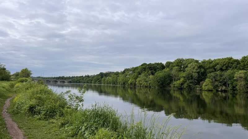 Boyd Park - New Brunswick, NJ
