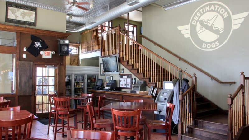 Destination Dogs - New Brunswick, NJ