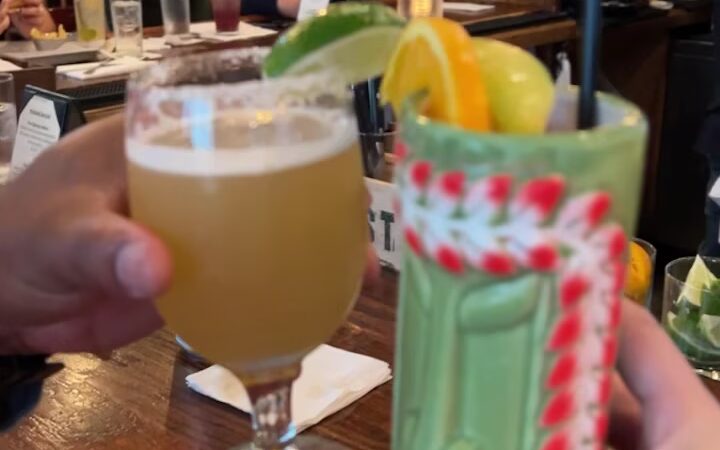 Destination Dogs - New Brunswick, NJ