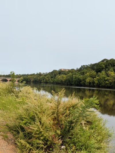Elmer B. Boyd Park - New Brunswick, NJ