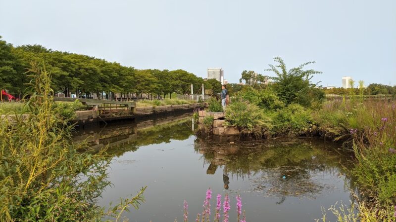 Elmer B. Boyd Park - New Brunswick, NJ