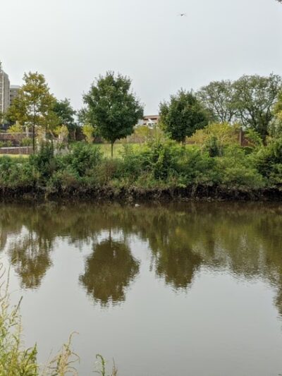 Elmer B. Boyd Park - New Brunswick, NJ