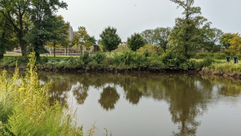 Elmer B. Boyd Park - New Brunswick, NJ