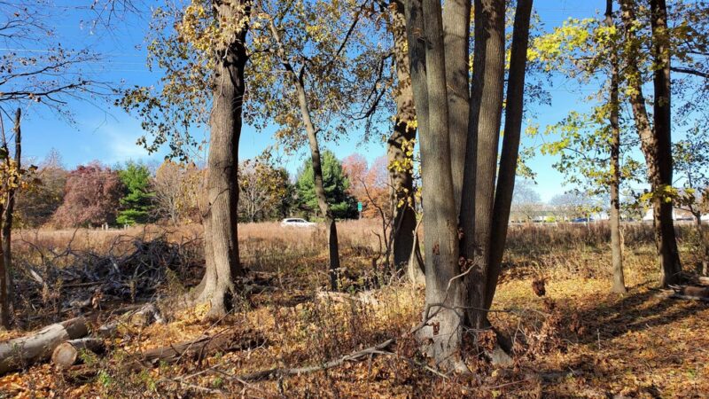 Rutgers Gardens Via Helyar Woods Trail - New Brunswick, NJ