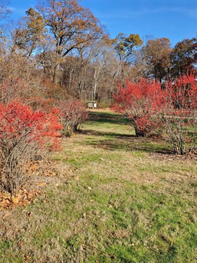 Rutgers Gardens Via Helyar Woods Trail - New Brunswick, NJ