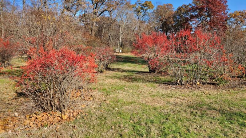Rutgers Gardens Via Helyar Woods Trail - New Brunswick, NJ
