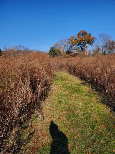 Rutgers Gardens Via Helyar Woods Trail - New Brunswick, NJ