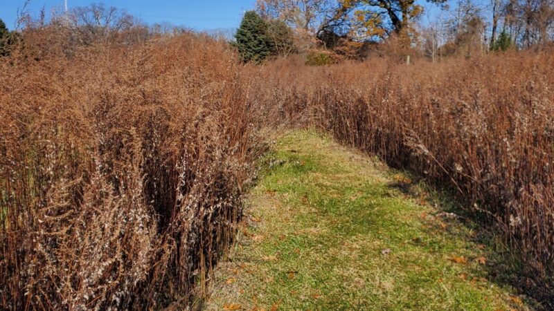 Rutgers Gardens Via Helyar Woods Trail - New Brunswick, NJ