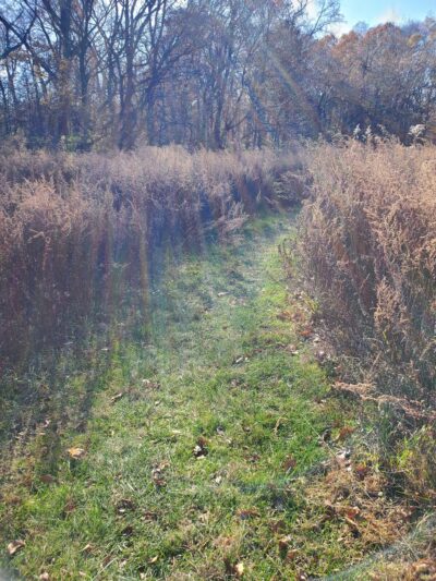 Rutgers Gardens Via Helyar Woods Trail - New Brunswick, NJ