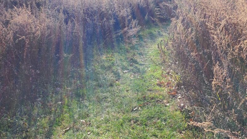 Rutgers Gardens Via Helyar Woods Trail - New Brunswick, NJ