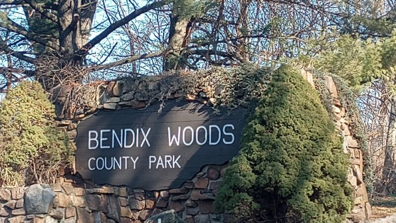 Bendix Woods County Park - New Carlisle, IN