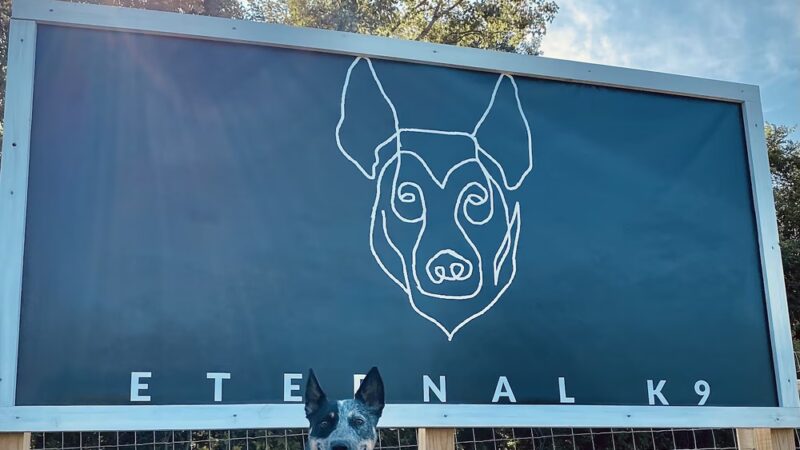 Eternal K9 Dog Training - New Carlisle, IN