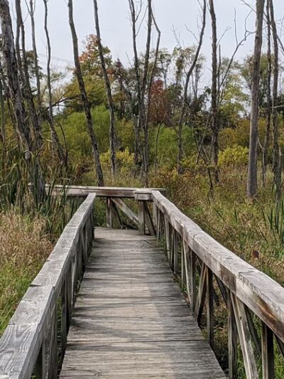 Spicer Lake Nature Preserve - New Carlisle, IN