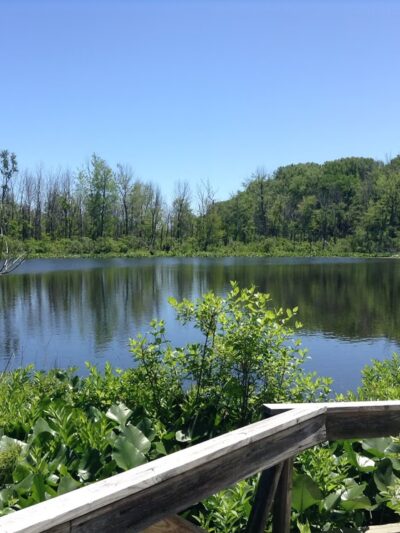 Spicer Lake Nature Preserve - New Carlisle, IN