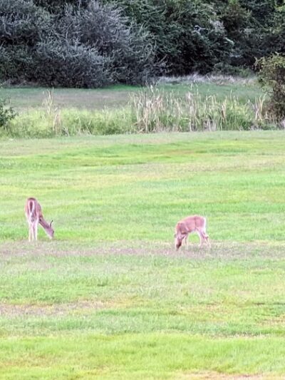 New Castle Industrial Track Trail - New Castle, DE