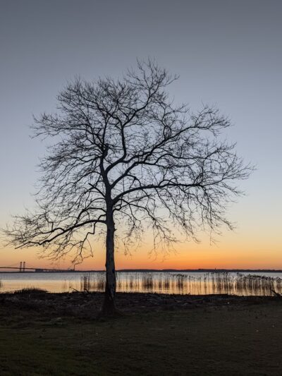 Bull Hill Park - New Castle, DE