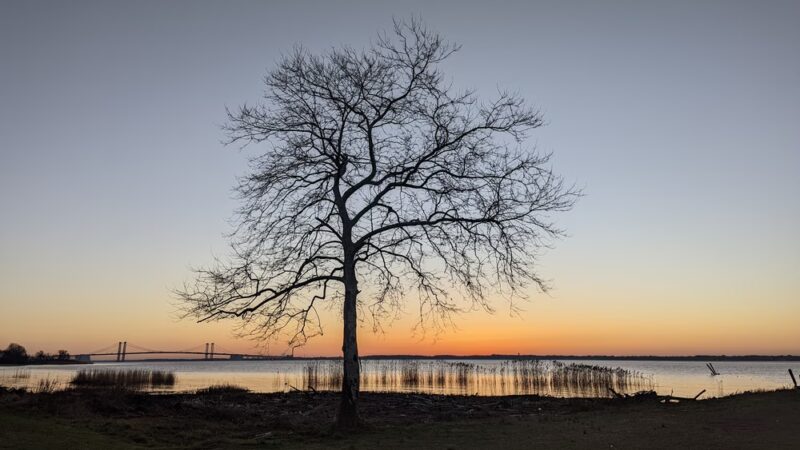 Bull Hill Park - New Castle, DE