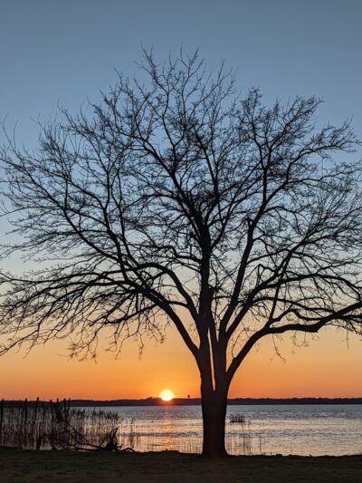 Bull Hill Park - New Castle, DE