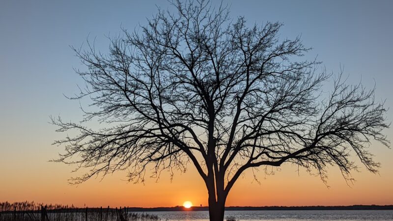 Bull Hill Park - New Castle, DE