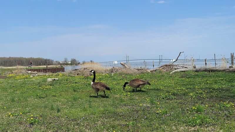 Bull Hill Park - New Castle, DE
