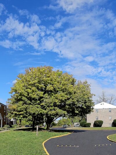 Colonial Village Apartments - New Castle, DE