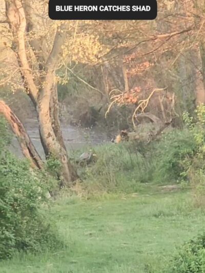 Coventry Ridge Park - New Castle, DE