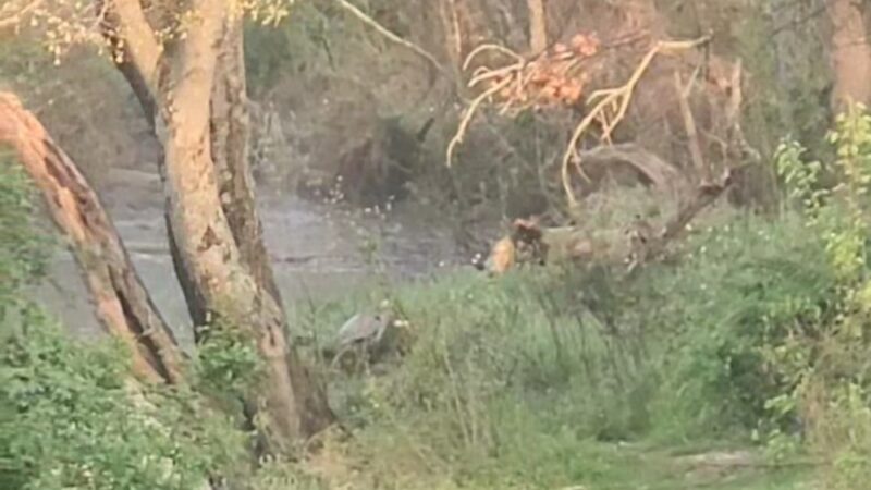 Coventry Ridge Park - New Castle, DE