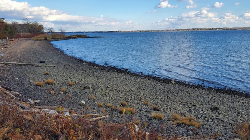 Deemer Beach parking - New Castle, DE