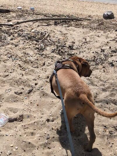 Deemer Beach parking - New Castle, DE