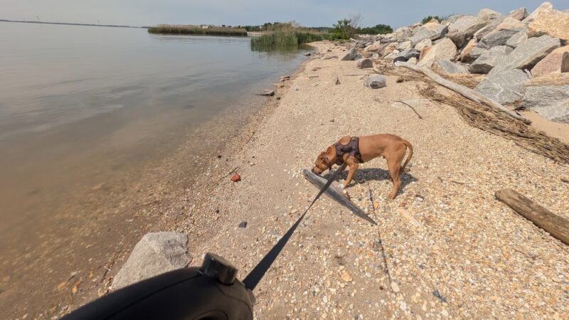 Deemer Beach parking - New Castle, DE